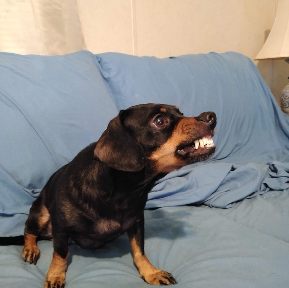 Meet your Posher, Noah........(rEv) - Picture 9 of 15